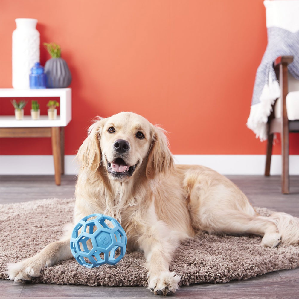 JW Pet Holee Roller Dog Toy, Medium, Color Varies On Sale EntirelyPets