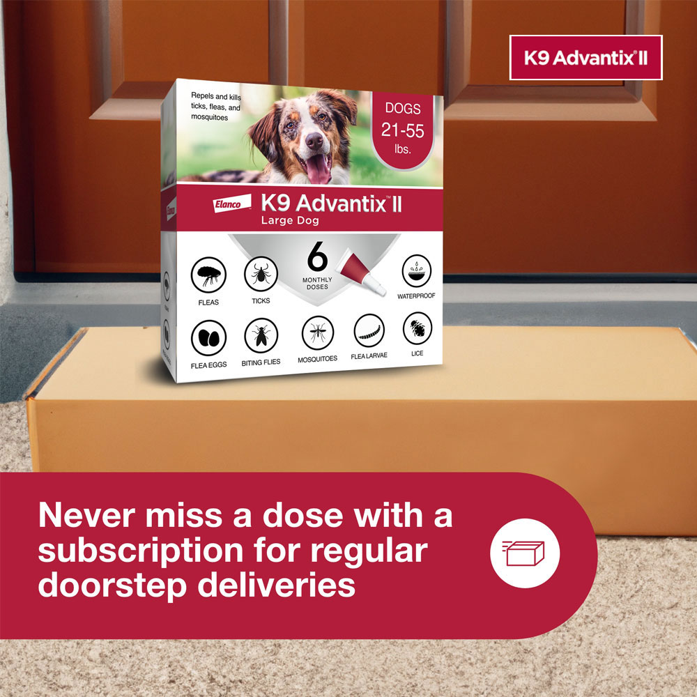 ADVANTIX-II-LARGE-DOGS-12-MONTHS-TAPEWORM