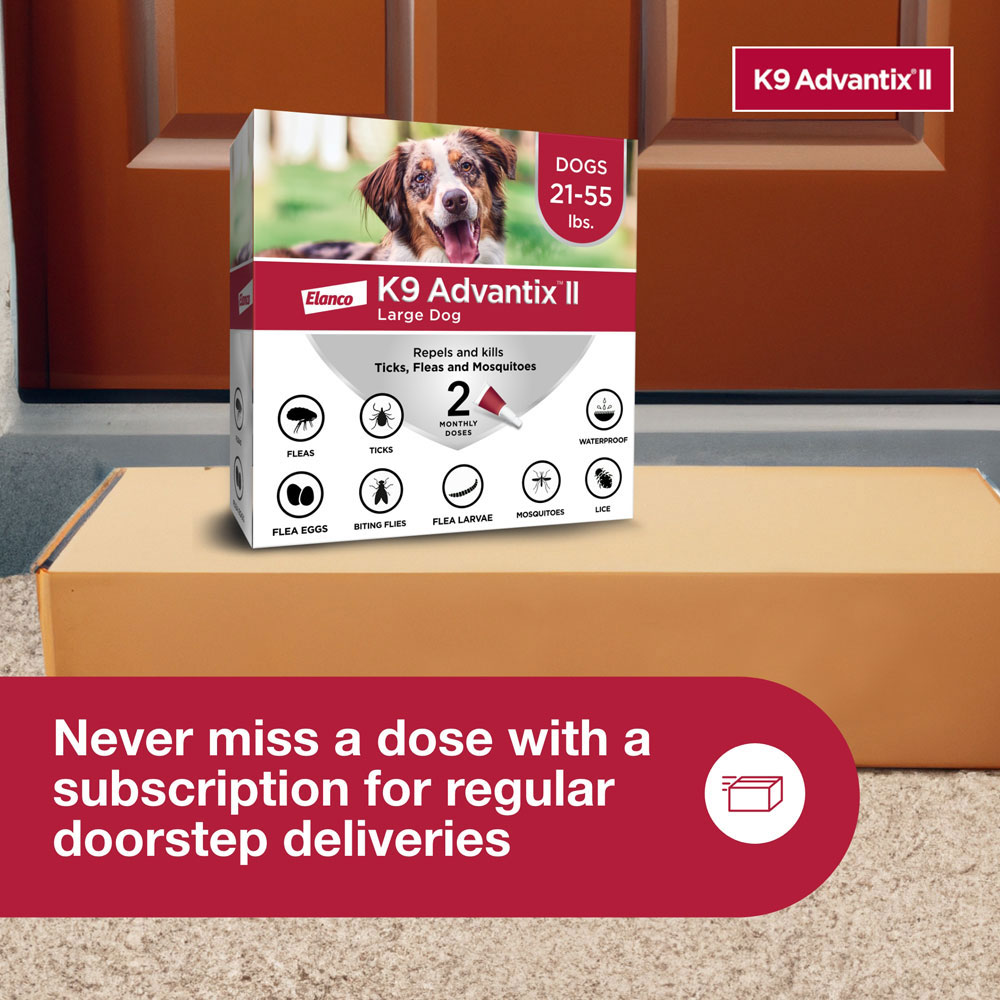 ADVANTIX-II-LARGE-DOGS-2-MONTHS-TAPEWORM