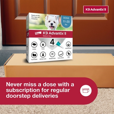 ADVANTIX-II-MEDIUM-DOGS-4-MONTHS-TAPEWORM