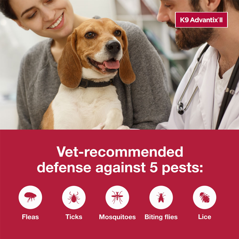 ADVANTIXIITEAL6