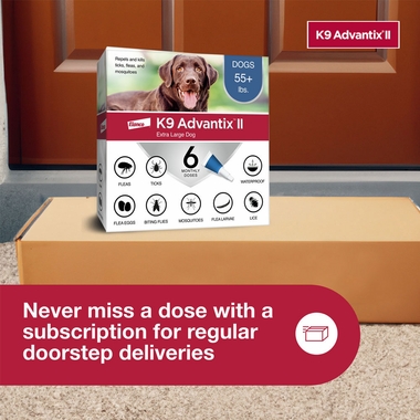 ADVANTIX-II-XLARGE-DOGS-12-MONTHS-TAPEWORM