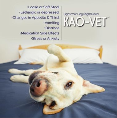 KAO-VET-ANTI-DIARRHEA-LIQUID-FOR-DOGS-8-FL-OZ