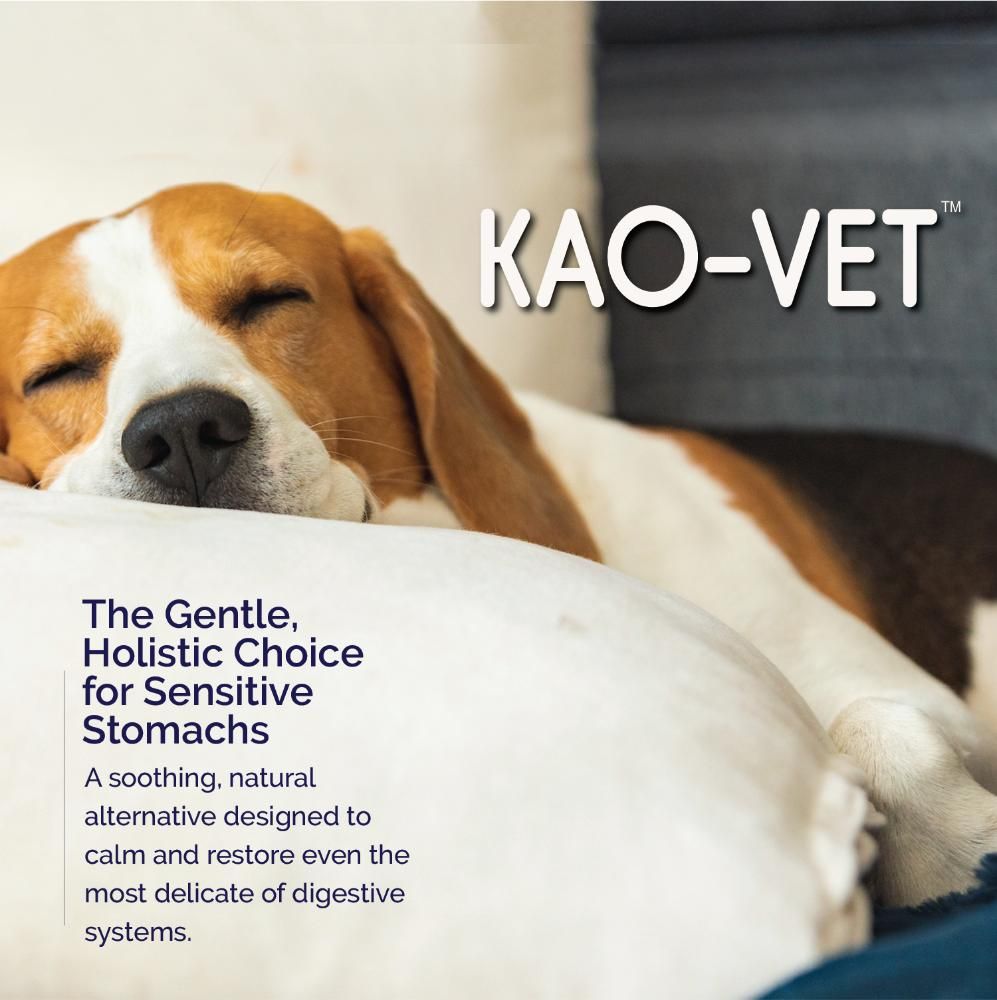 KAO-VET-ANTI-DIARRHEA-LIQUID-FOR-DOGS-8-FL-OZ