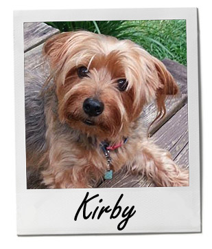 Kirby 6/25/14