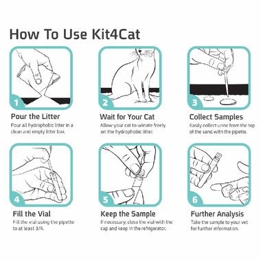KIT4CAT-CAT-URINE-SAMPLE-COLLECTION-SAND-3-PART-BOX
