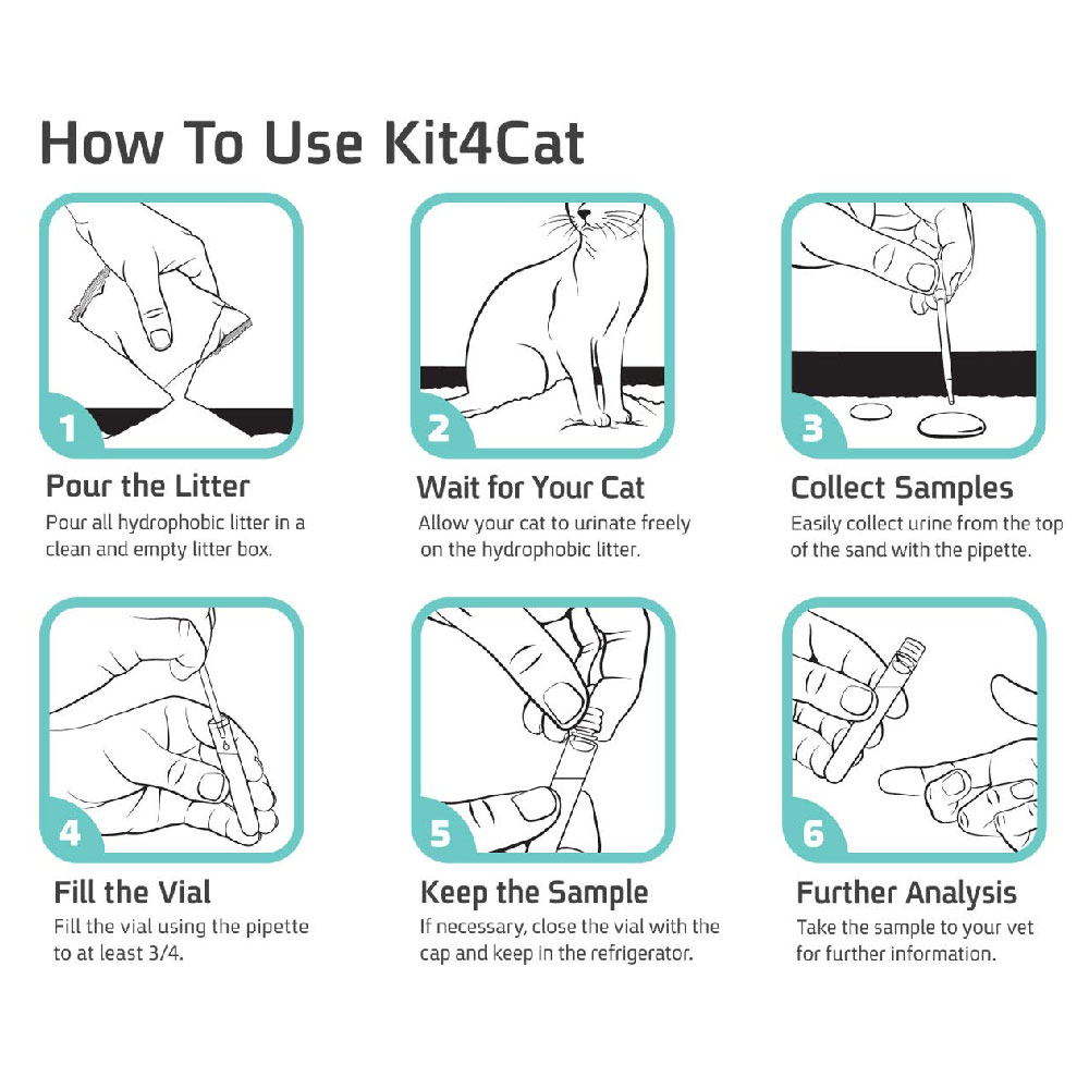 KIT4CAT-CAT-URINE-SAMPLE-COLLECTION-SAND-3-PART-BOX