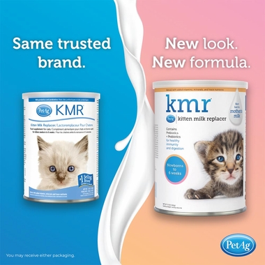 KMR-KITTEN-MILK-REPLACER-POWDER-6OZ