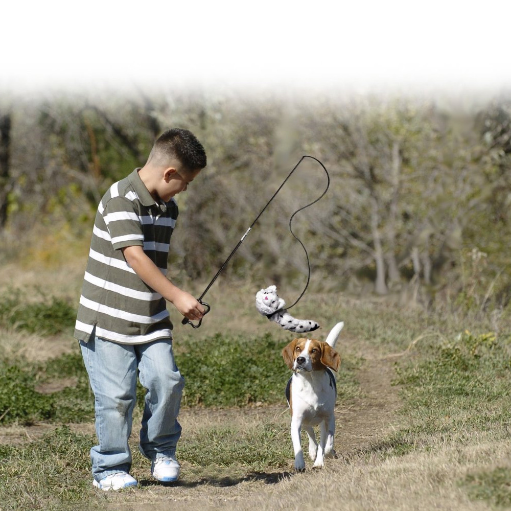 KONG-CHASE-IT-REPLACEMENT-CAT