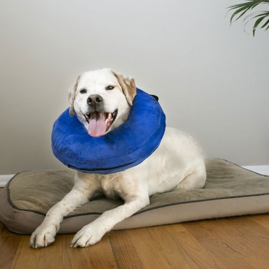 KONG-CLOUD-E-COLLAR-MEDIUM