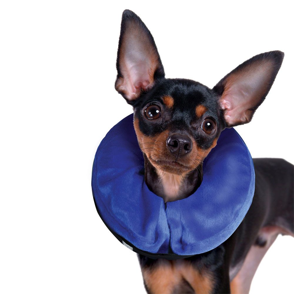 KONG-CLOUD-E-COLLAR-EXTRA-SMALL