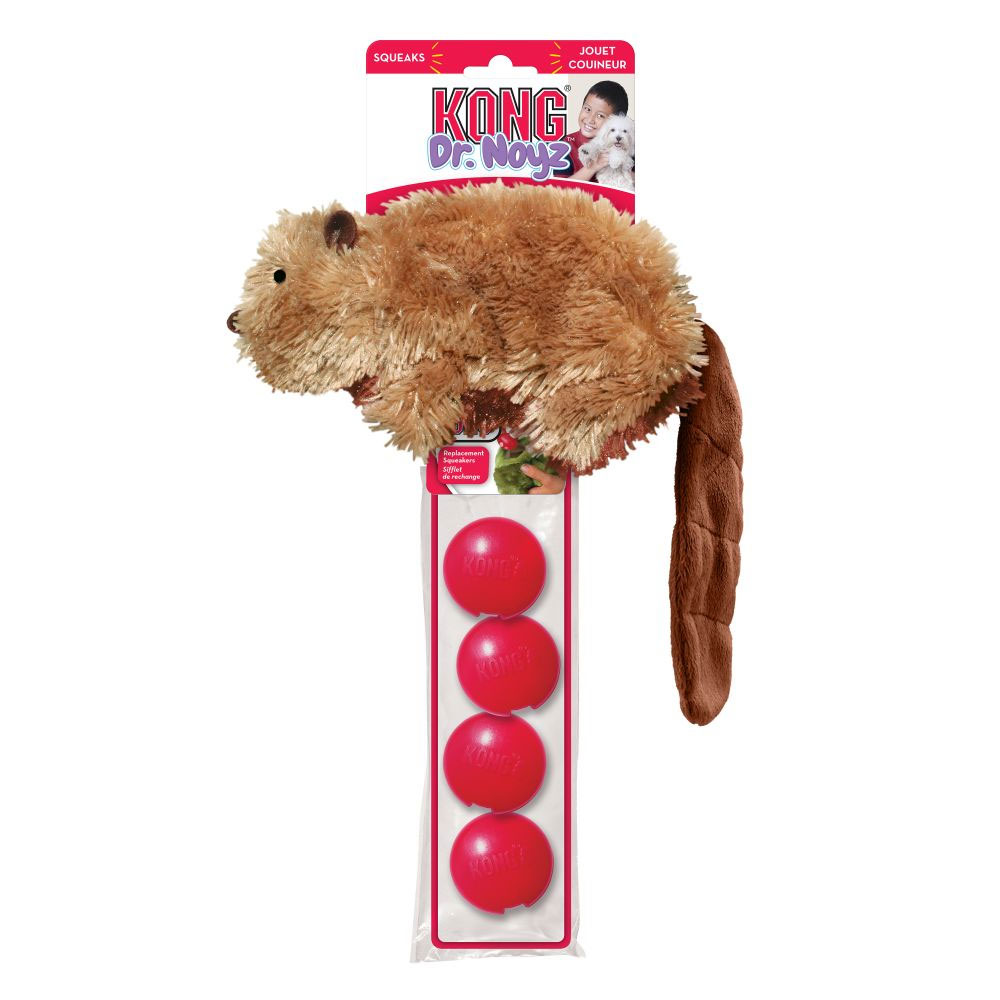 KONGSQUIRLSM