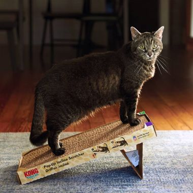 KONG-INCLINE-CAT-SCRATCHER