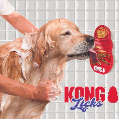 KONG-LICK-MATT-TREAT-DISPENSER-LARGE