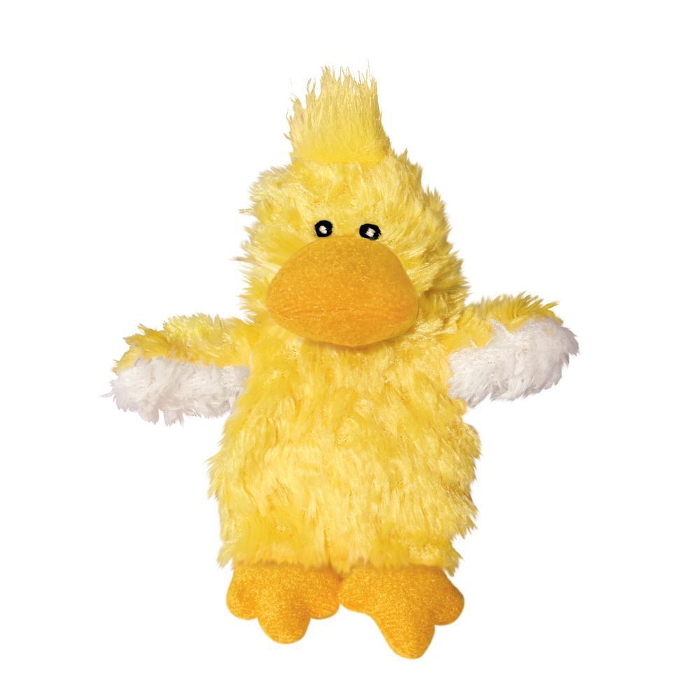 KONGSQUIRL