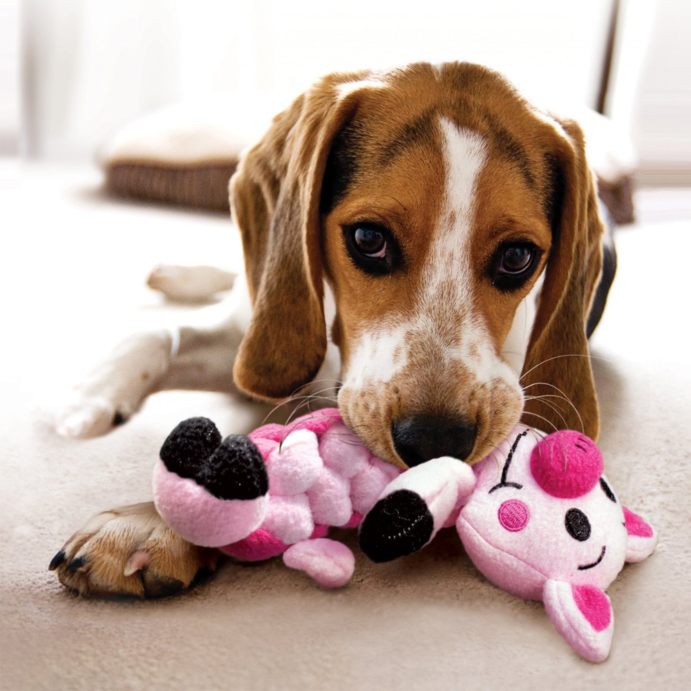 KONG-PUDGE-BRAIDZ-DOG-TOY-MEDIUM-LARGE