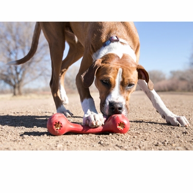 KONG-GOODIE-BONE-DOG-TOY-SMALL