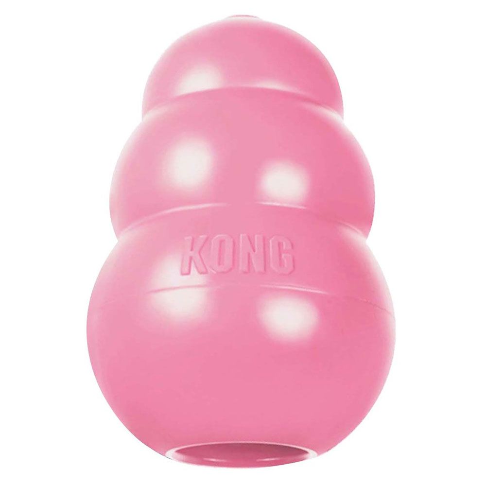 KONG-PUPSQUEAKER
