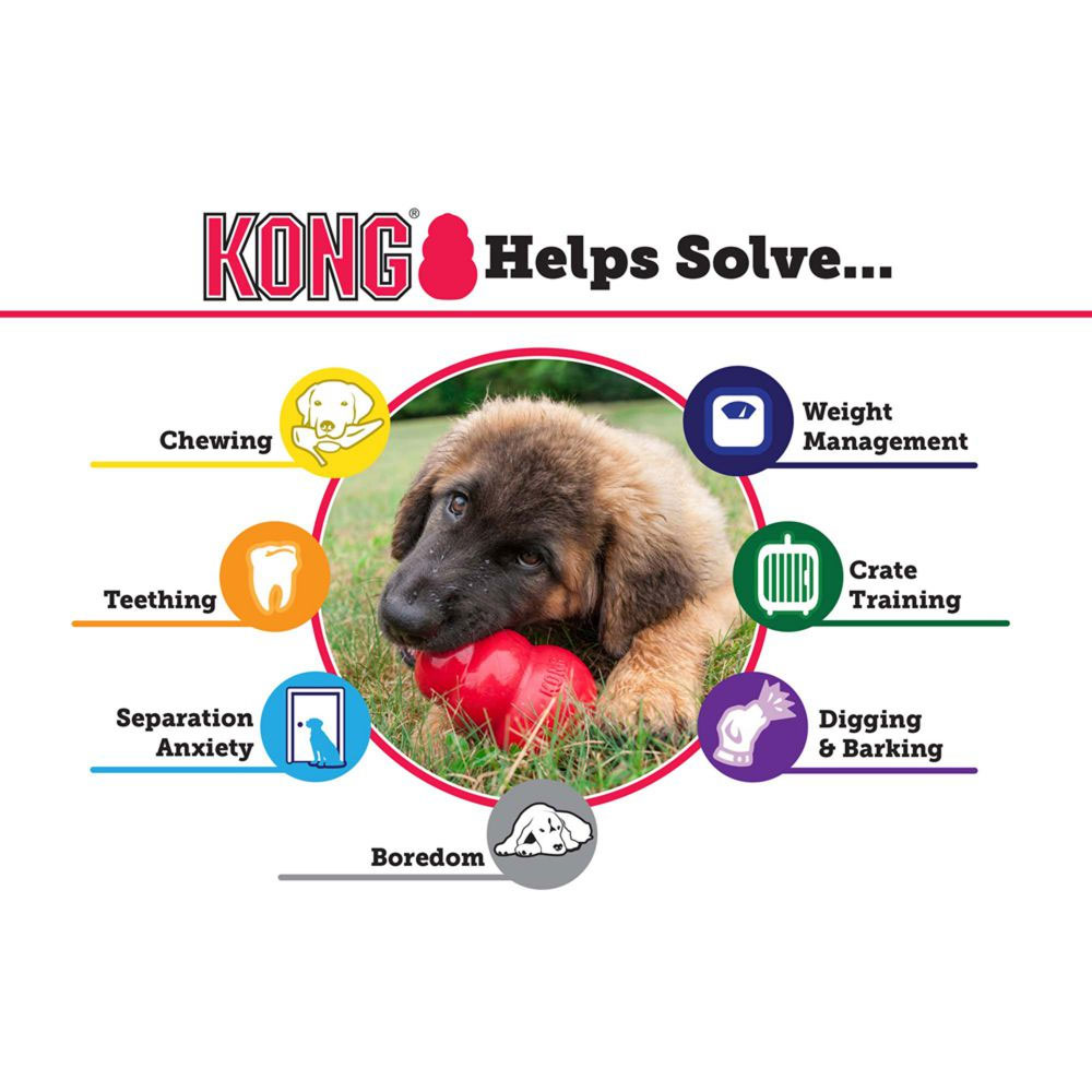 PUPPY-KONG-SMALL
