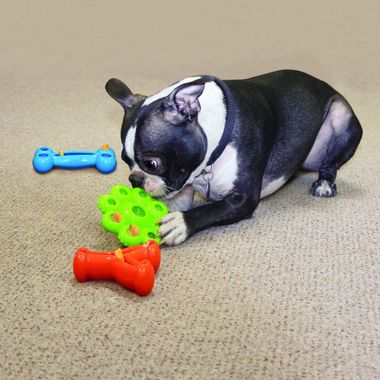 KONG-QUEST-BONE-SMALL
