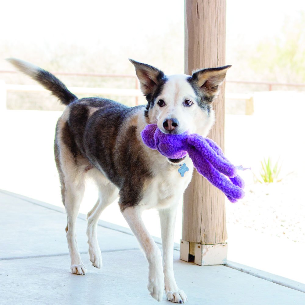 KONG-SNUGGA-WUBBA-SMALL-ASSORTED