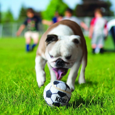 KONG-LARGE-SPORTS-BALLS