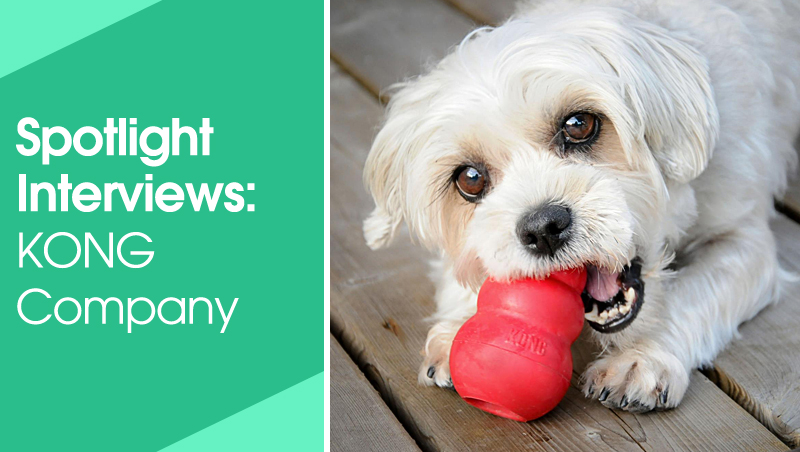 KONG Spotlight Interview: Company Roots 