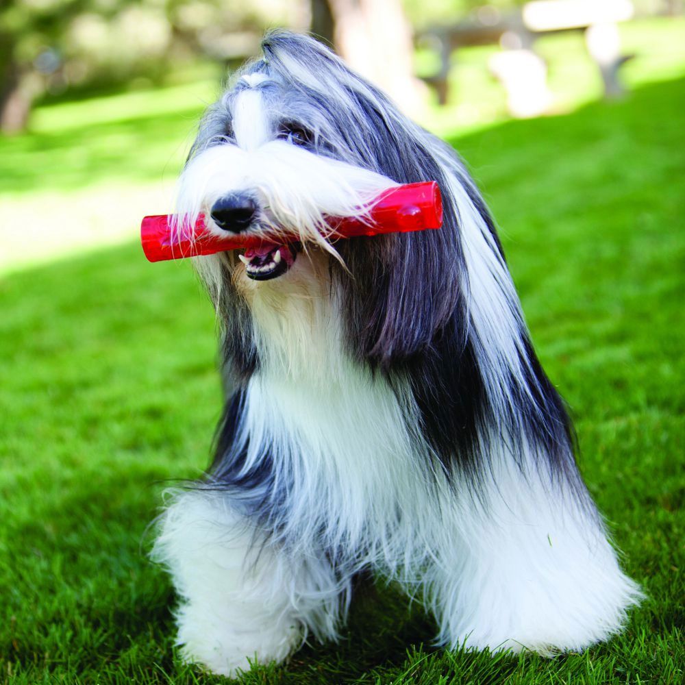 KONG-LARGE-SQUEEZZ-BALL