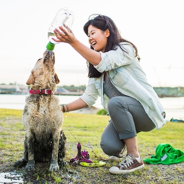 MUD-DOG-SHOWER-GRASS-GREEN