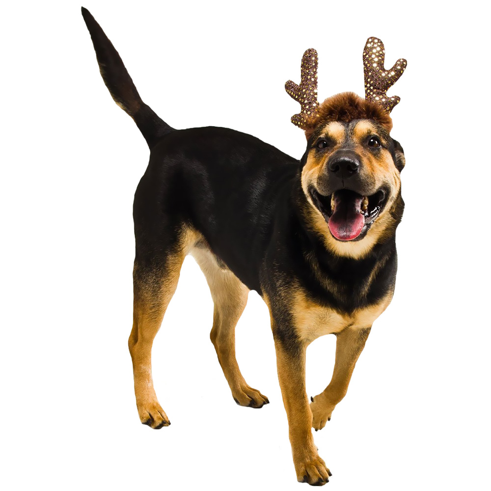 KYJEN-HOLIDAY-LED-HEADBAND-ANTLERS-SMALL