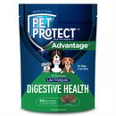 Pet Protect Lactoquil Digestive Health for Dogs - Chicken Flavor (60 Soft Chews)