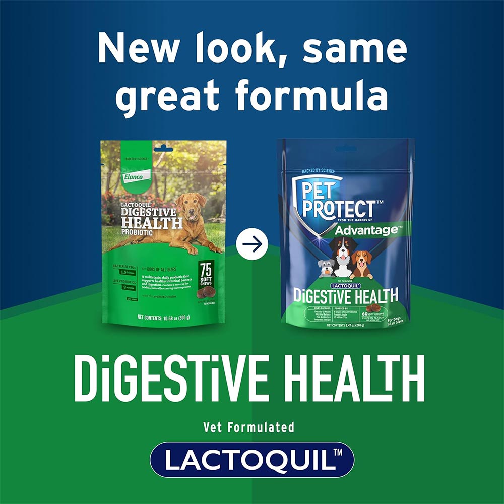 LACTOQUIL-SOFT-CHEWS-DOGS