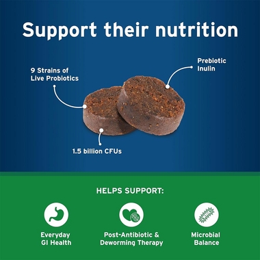 LACTOQUIL-SOFT-CHEWS-DOGS