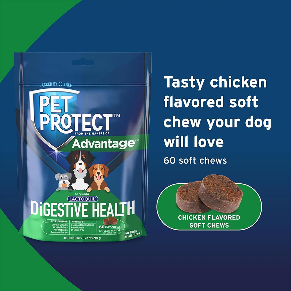 LACTOQUIL-SOFT-CHEWS-DOGS