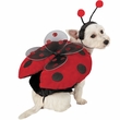 Ladybug with Wings Dog Costume - XSMALL