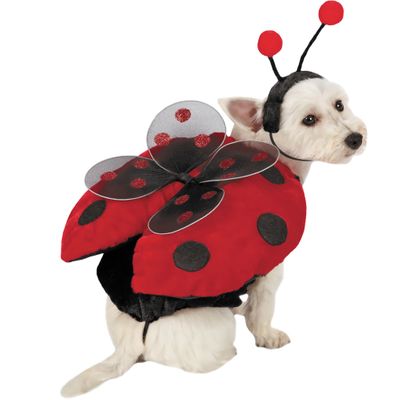 LADYBUG-WITH-WINGS-DOG-COSTUME-XSMALL