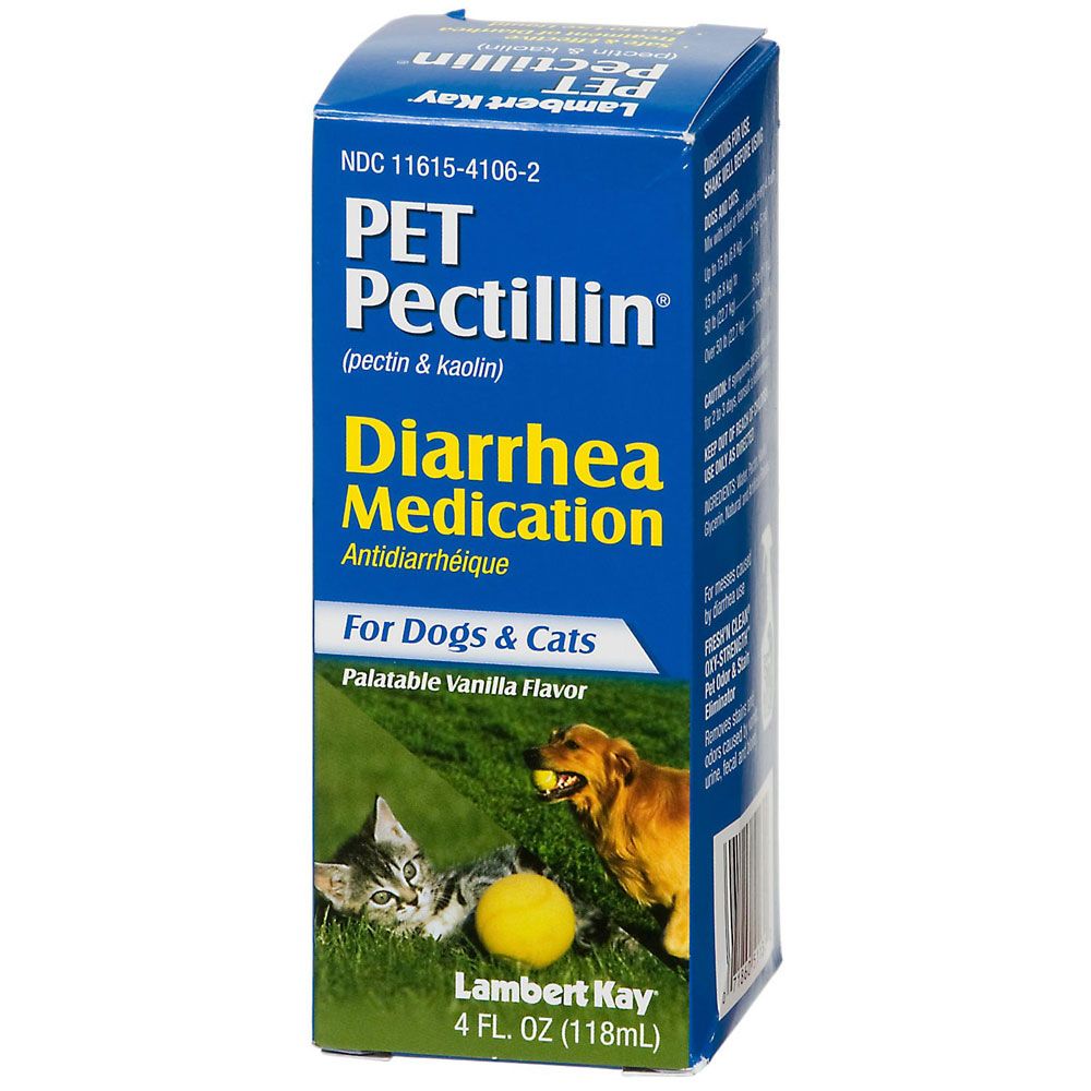 Lambert Kay Pet Pectillin Diarrhea Medication