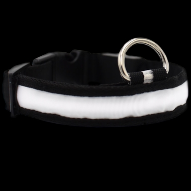 WHITE-LED-SAFETY-ELECTRIC-GLOW-COLLAR-LARGE