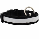 LED Safety Electric Glow Collar - White (Large)