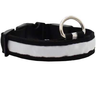 WHITE-LED-SAFETY-ELECTRIC-GLOW-COLLAR-XLARGE