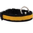 LED Safety Electric Glow Collar - Yellow (Small)