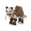 Leg Avenue 3 PC. Cuddly Lion Pup Costume - XSmall