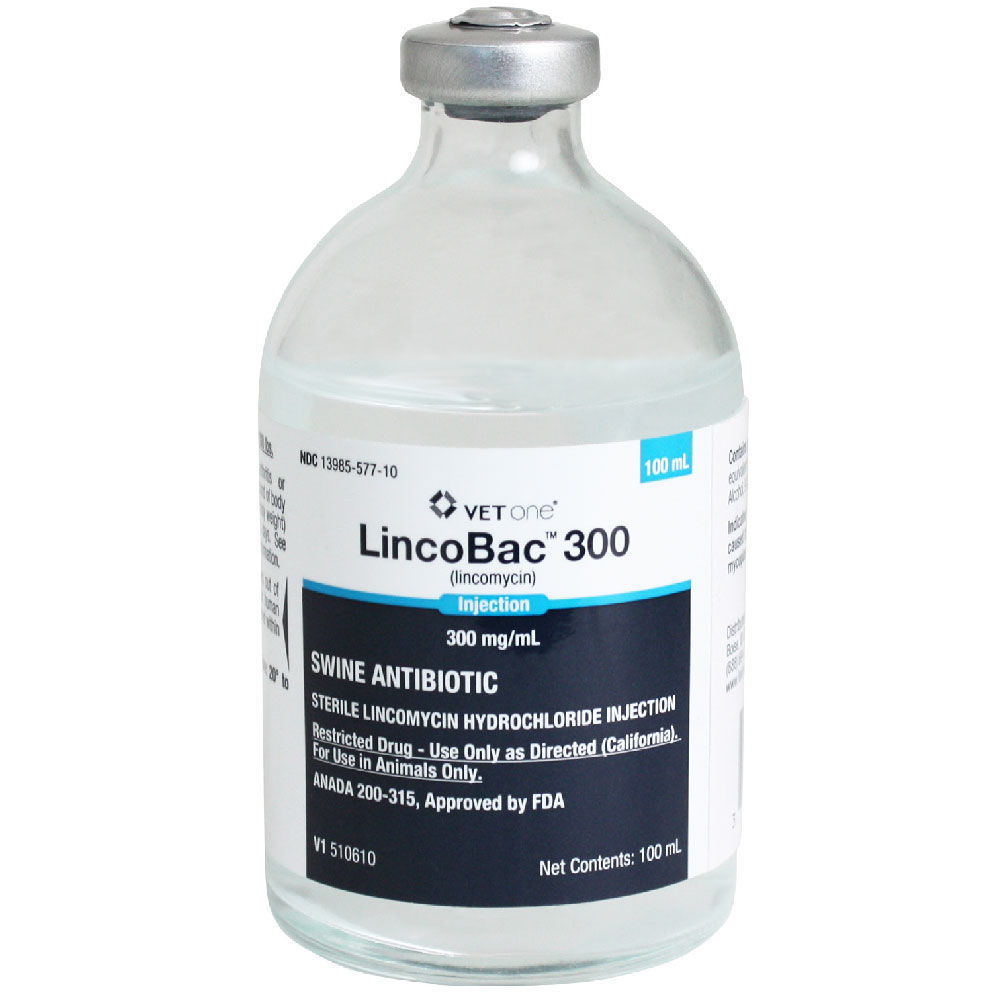 LincoBac 300 (Lincomycin) Injection, Swine Antibiotic