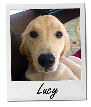 Lucy 5/14/14