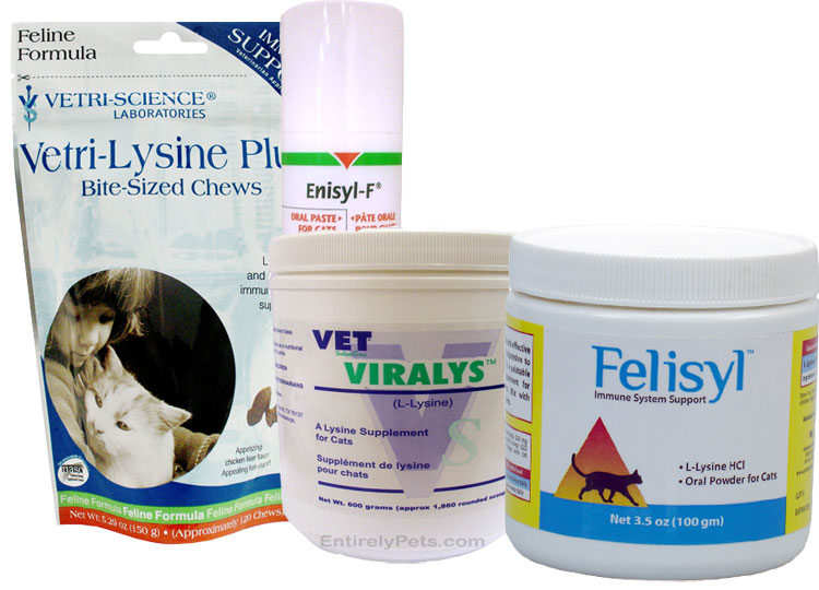 Lysine Products