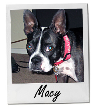 Macy (7/29/13)