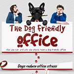 Making Your Office Dog Friendly