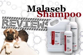 Malaseb Shampoo Reviews