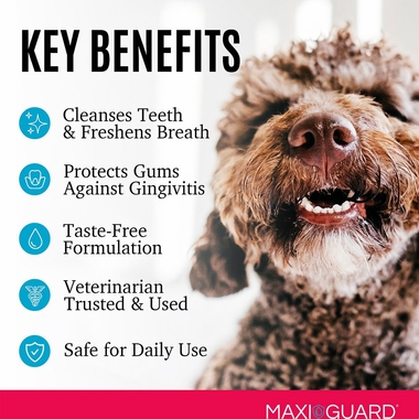 MAXIGUARD-ORAZN-CAT-DOG-SMALL-PET