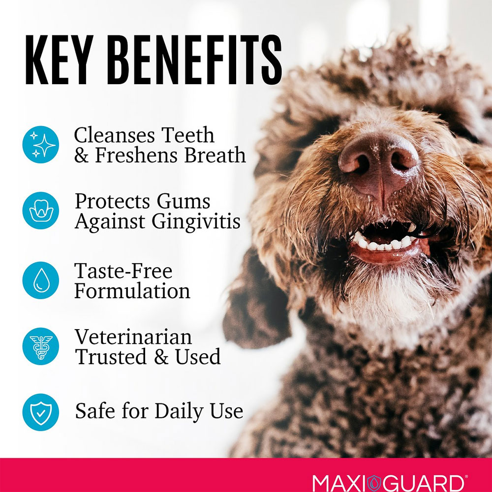 MAXIGUARD-ORAZN-CAT-DOG-SMALL-PET